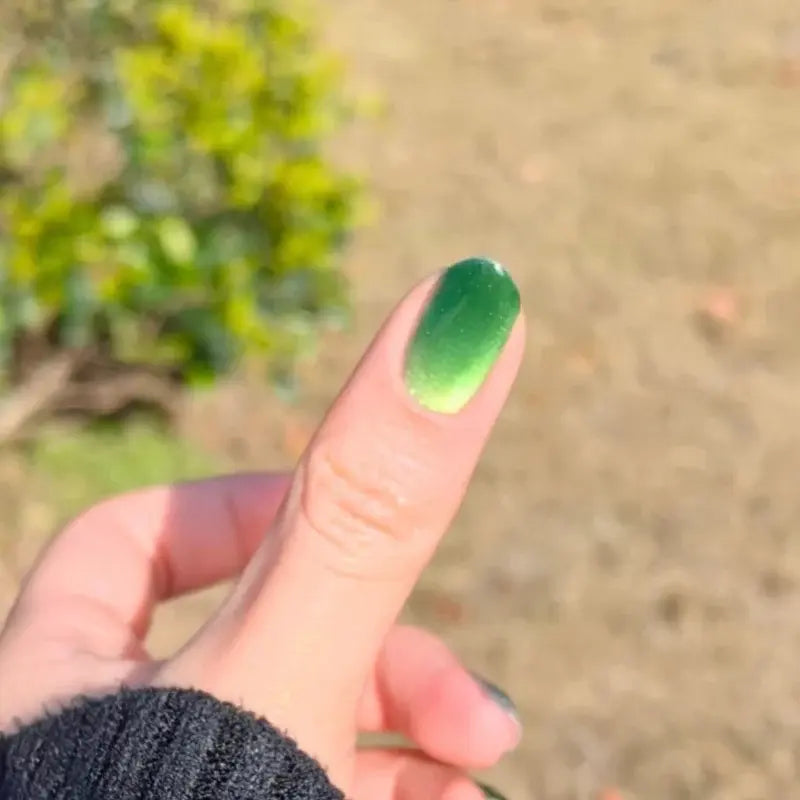 185 Basil Green